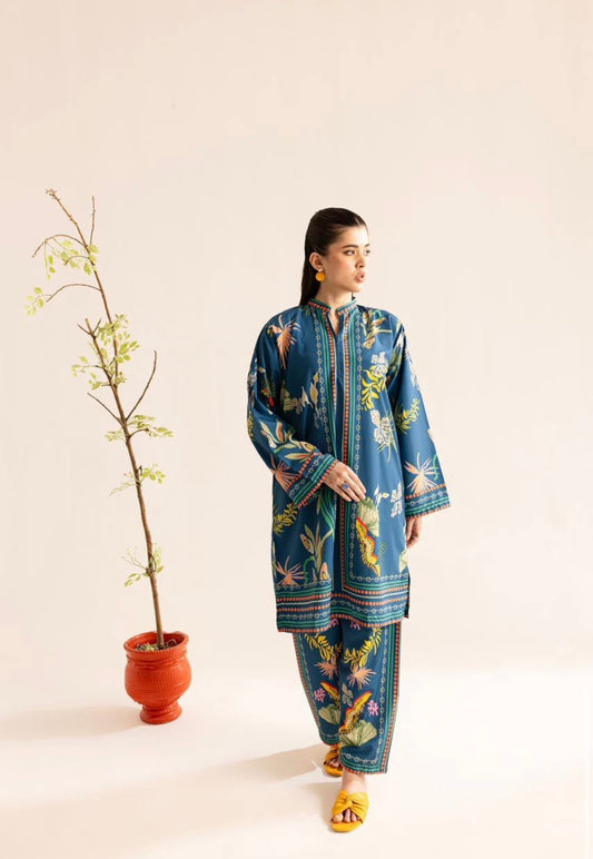 Blue CO-ORD SET Digital Printed - Z807