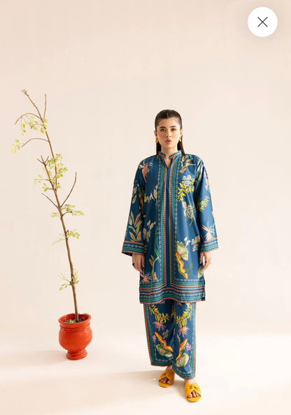 Blue CO-ORD SET Digital Printed - 807