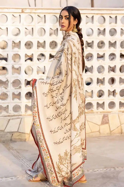 Odhnis & Shawls For Women - Shawl-006