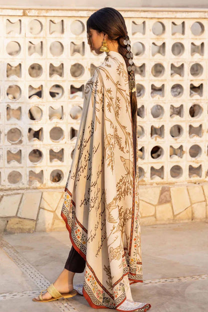 Odhnis & Shawls For Women - Shawl-006